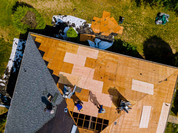 Roof Waterproofing Services in Henderson, TX